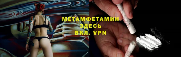 гидра Елизово