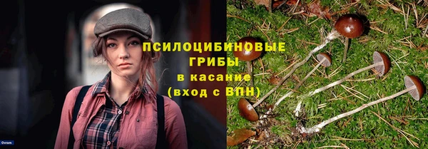 гидропоника Абаза
